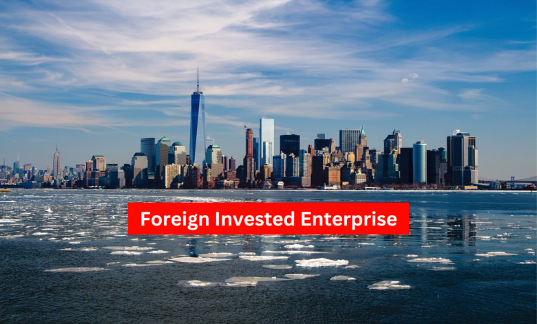 Foreign Invested Enterprise